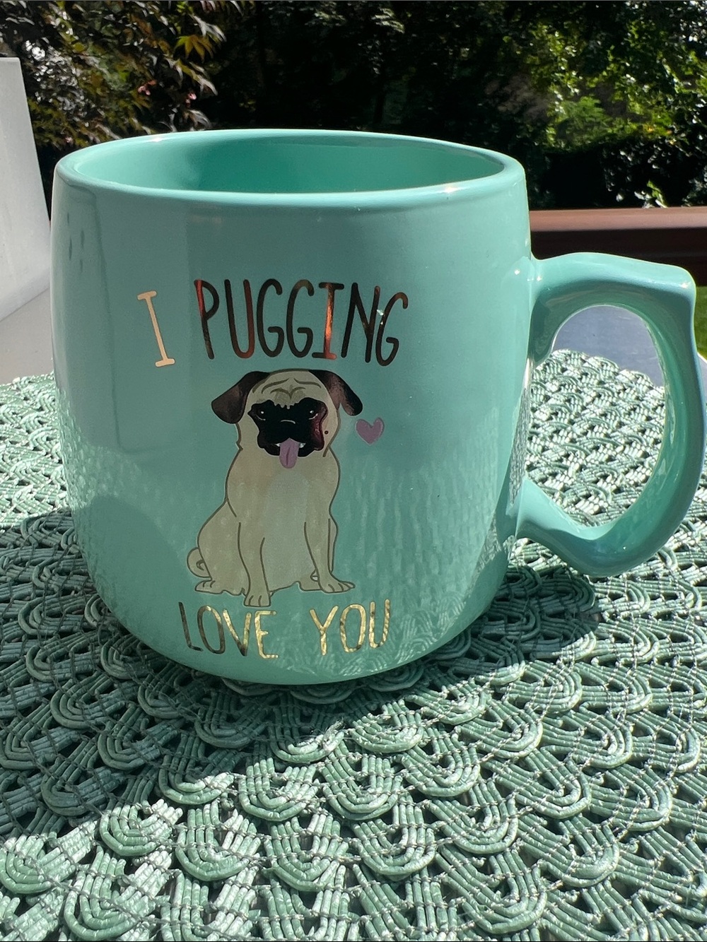 NWOT I Pugging Love You Mint Green Pug Mug. Gold bones on inside bottom.